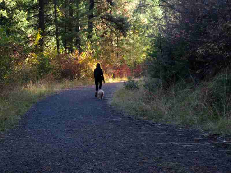 Walking on trail by Susan Fluegel